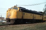 CNW 517